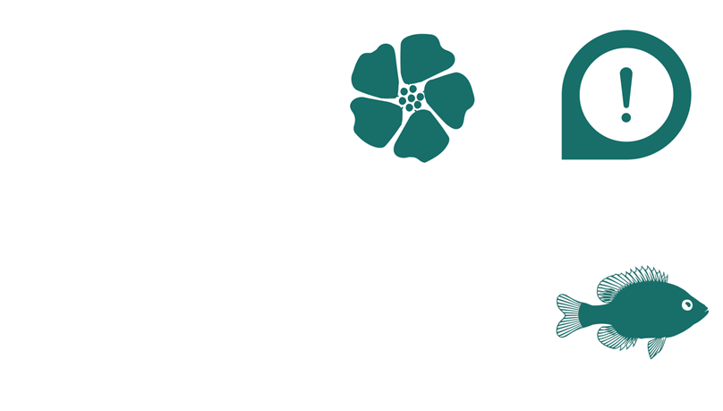 logo_GEO3E